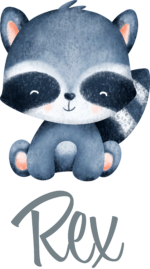 Personalised Vinyl Baby Racoon Wall Decal Sticker