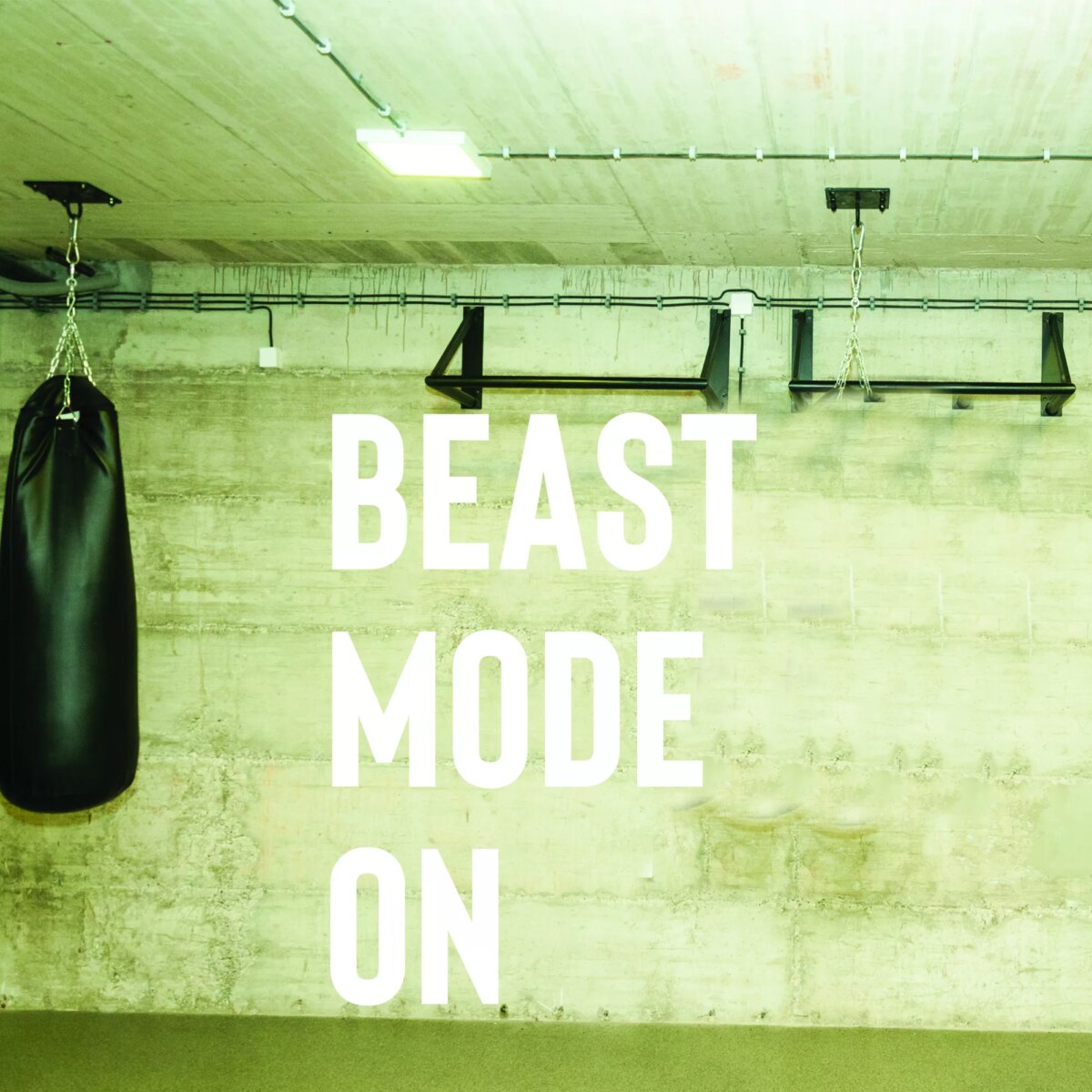 Beast Mode On Gym Vinyl Decal Wall Sticker