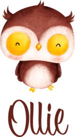 Personalised Vinyl Baby Owl Wall Decal Sticker