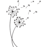 Dandelions Home Decor Wall Art Vinyl Decal
