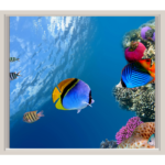 Fish Ocean Blue Sky Window Decal Wall Sticker