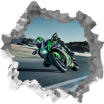 Kawasaki Ninja Wall Break Decal Wall Sticker