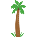 Palm Tree Height Chart Nursery Kids Wall Art Vinyl Decal
