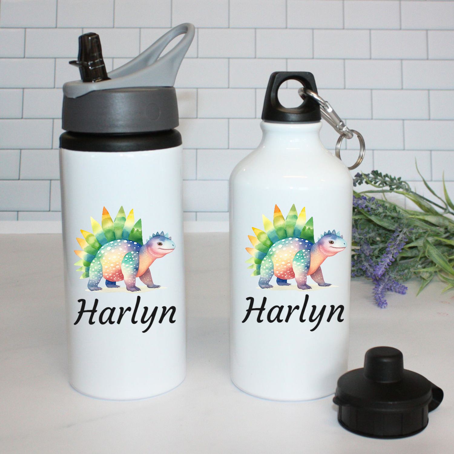 Lunch Bags & Bottles (4)-Photoroom (3)