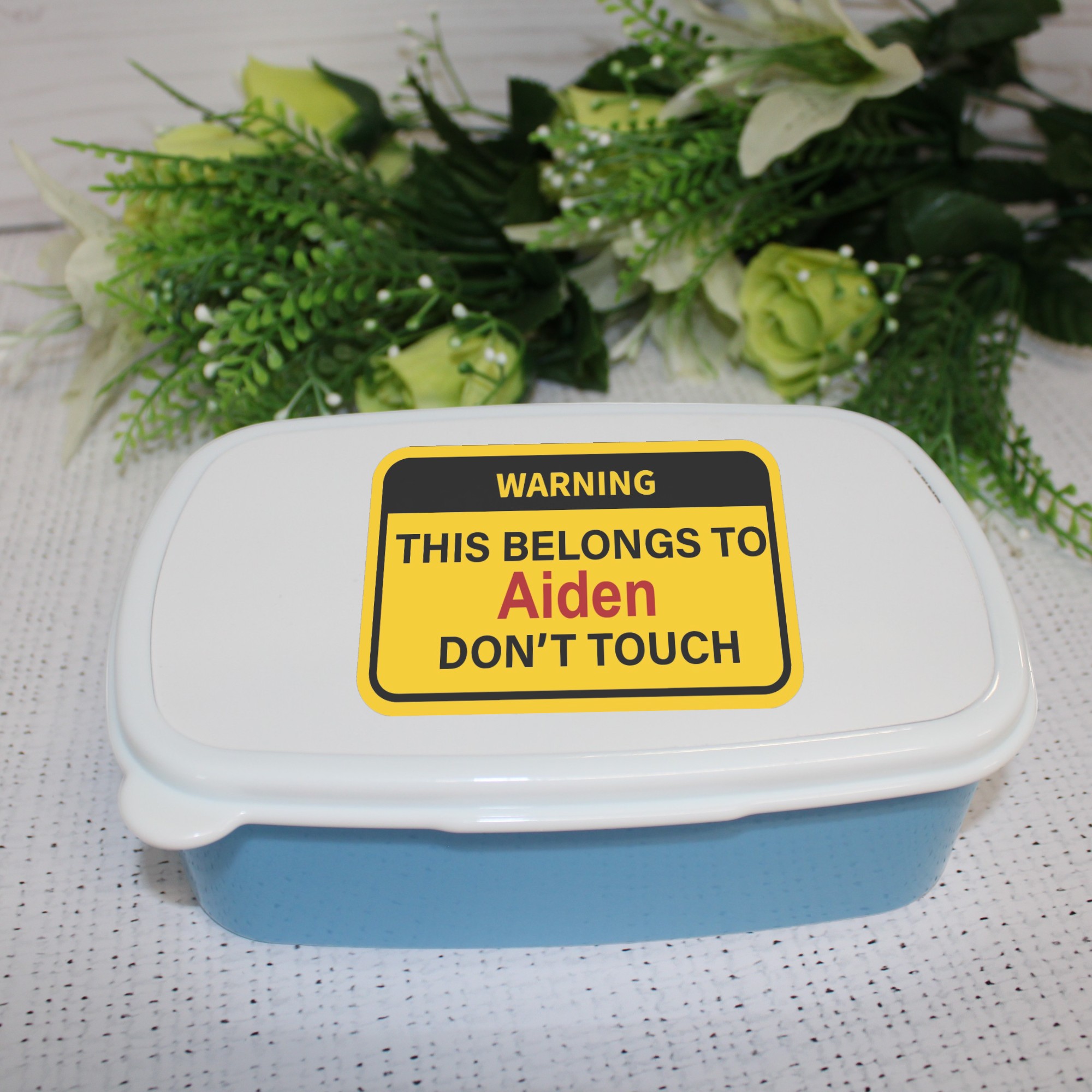 blue dino-Photoroom (22)